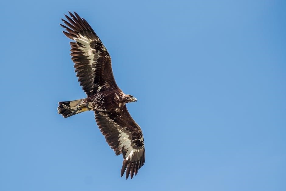 eagle scout letters of recommendation pdf