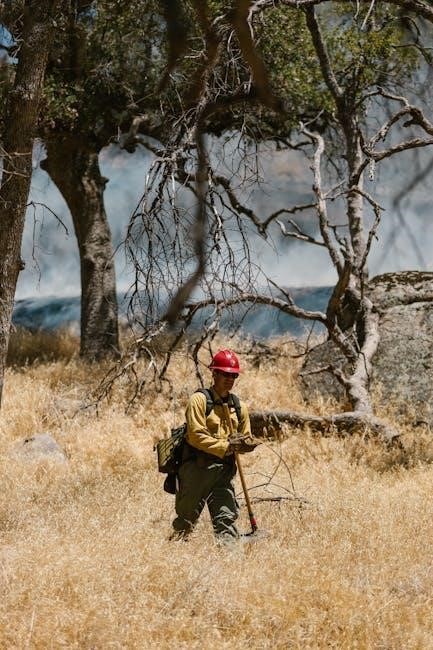 nfpa 1041 national fire protection association pdf