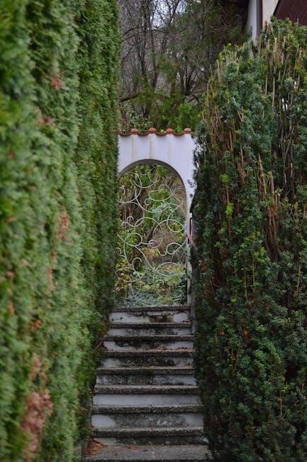 nancy friday my secret garden pdf